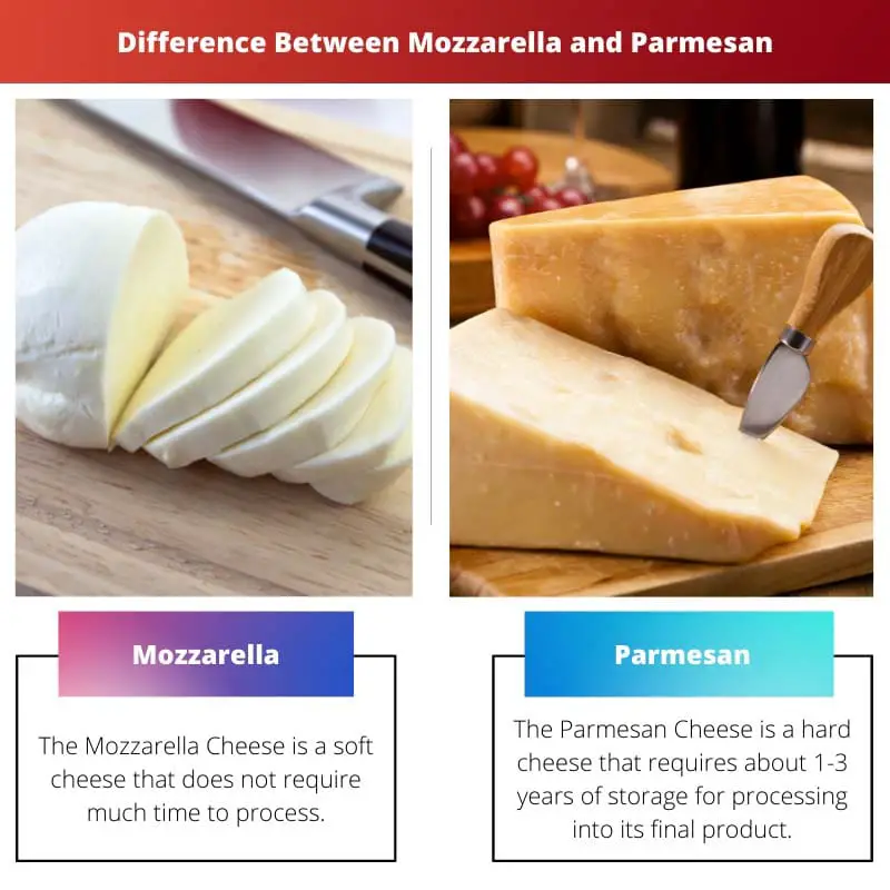Difference Between Mozzarella and Parmesan