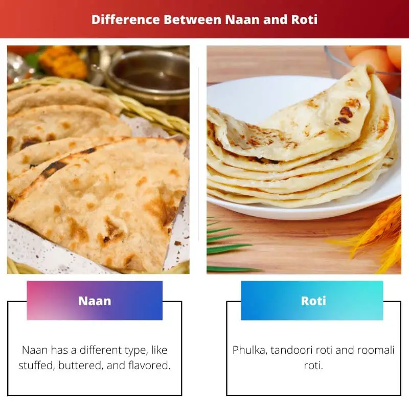 Difference Between Naan and Roti