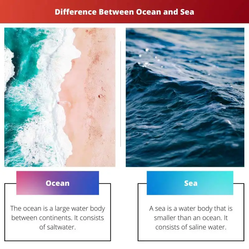 Difference Between Ocean and Sea