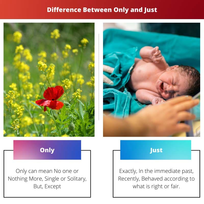 Difference Between Only and Just
