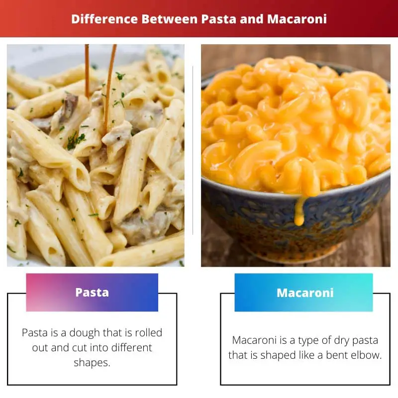 Difference Between Pasta and Macaroni