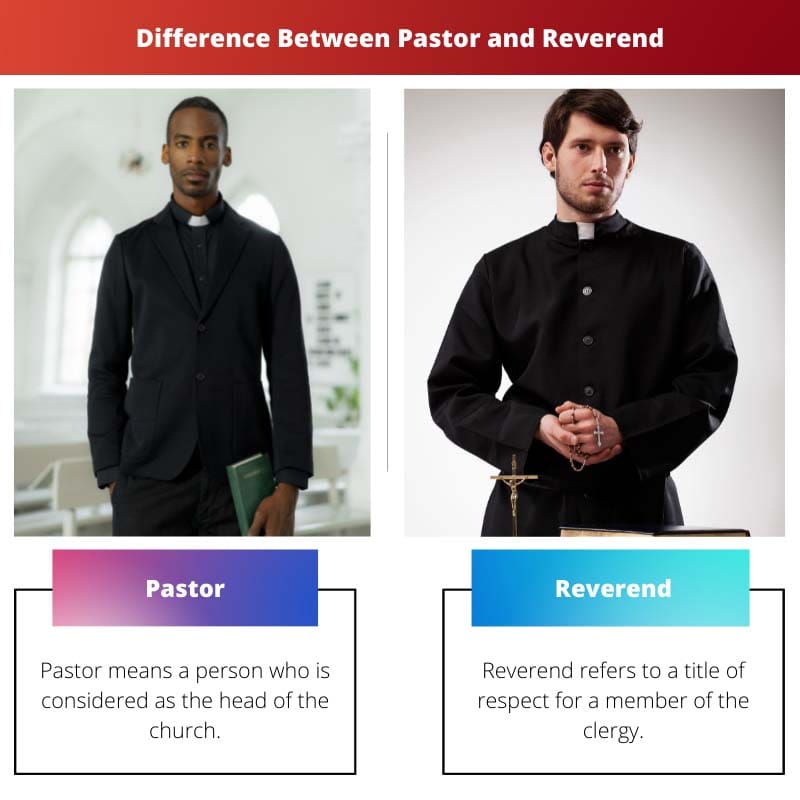 Difference Between Pastor and Reverend