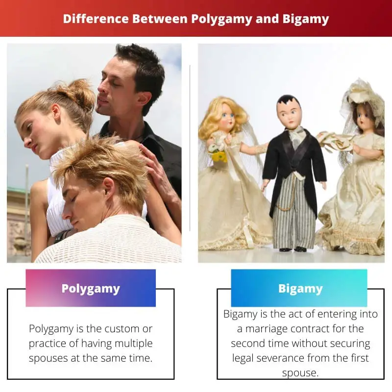 Difference Between Polygamy and Bigamy