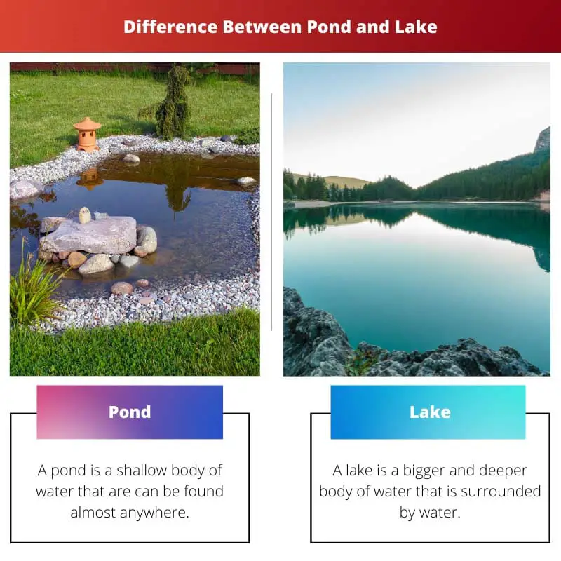 Difference Between Pond and Lake