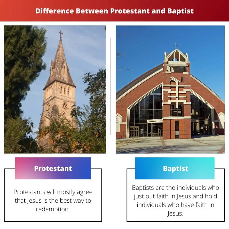 Difference Between Protestant and Baptist