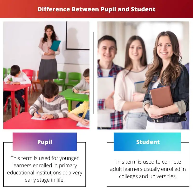 Difference Between Pupil and Student