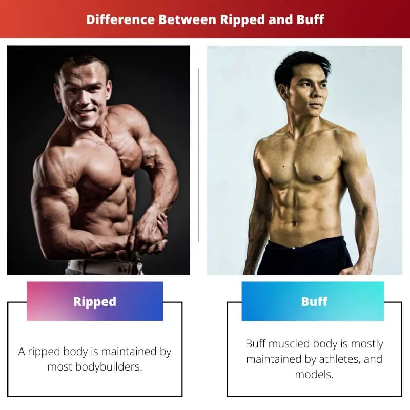 Difference Between Ripped and Buff