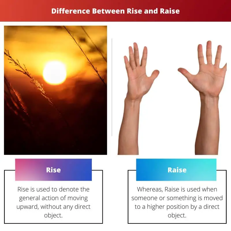 Difference Between Rise and Raise