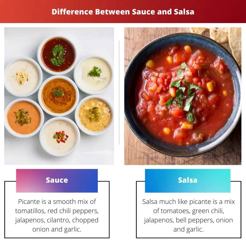 Difference Between Sauce and Salsa