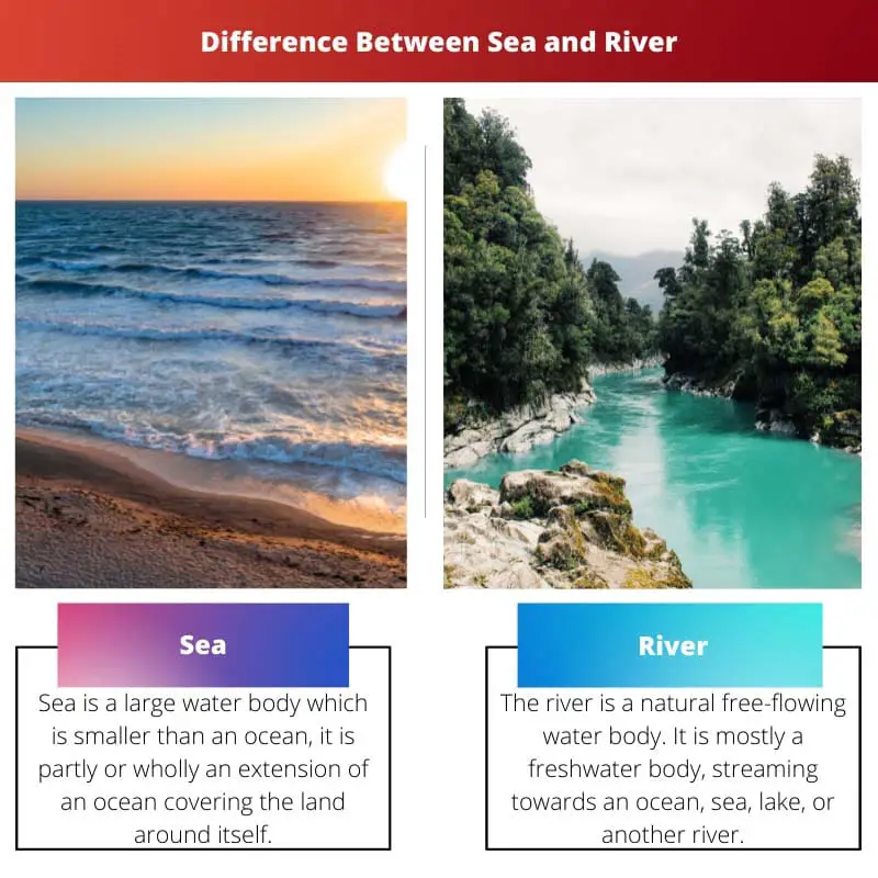 Difference Between Sea and River