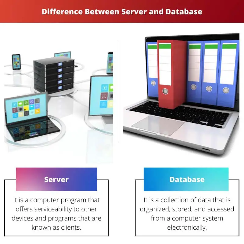Difference Between Server and Database