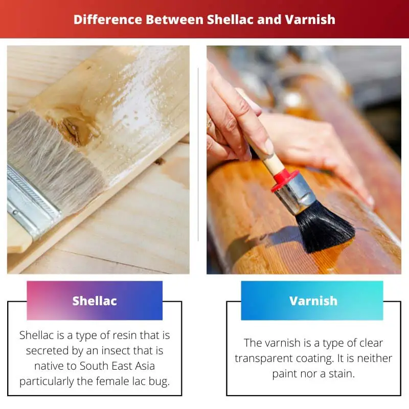 Difference Between Shellac and Varnish