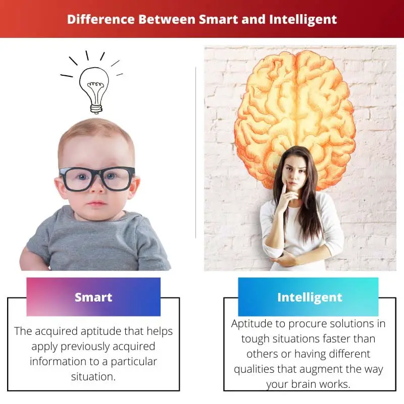 Difference Between Smart and Intelligent