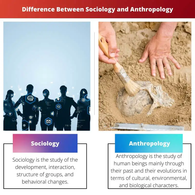 difference between sociology and anthropology