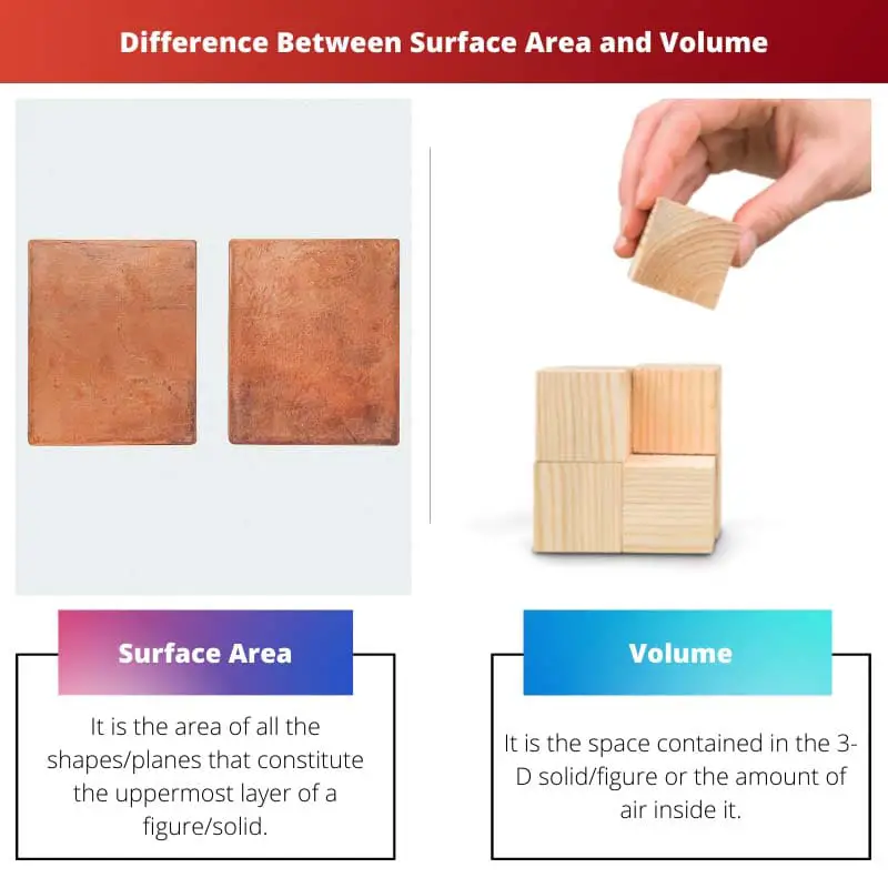 Difference Between Surface Area and Volume