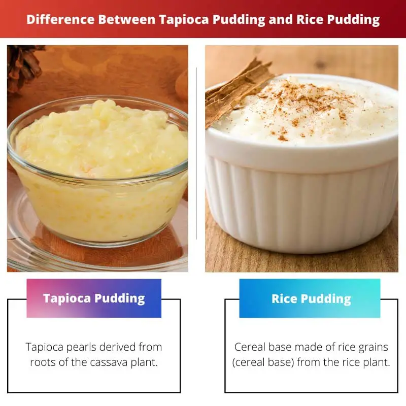 Difference Between Tapioca Pudding and Rice Pudding