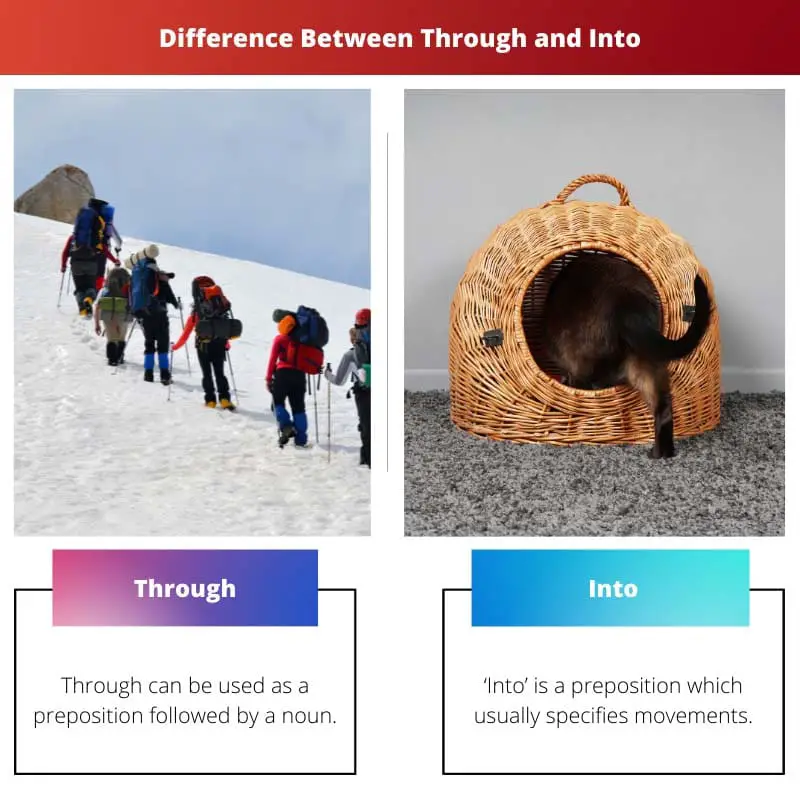 Difference Between Through and Into