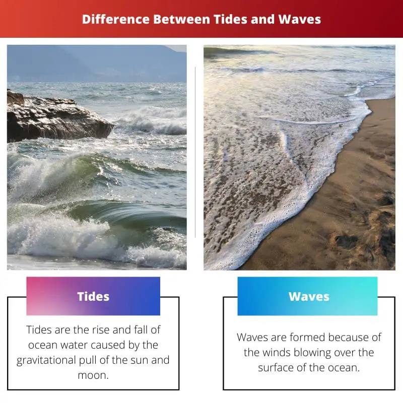 Difference Between Tides and Waves