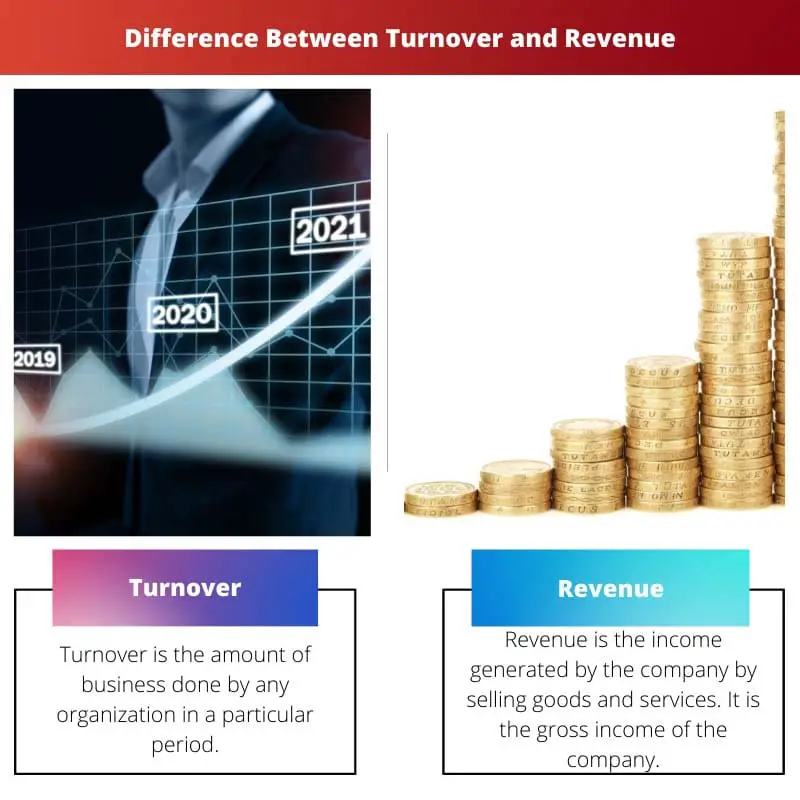 Difference Between Turnover and Revenue