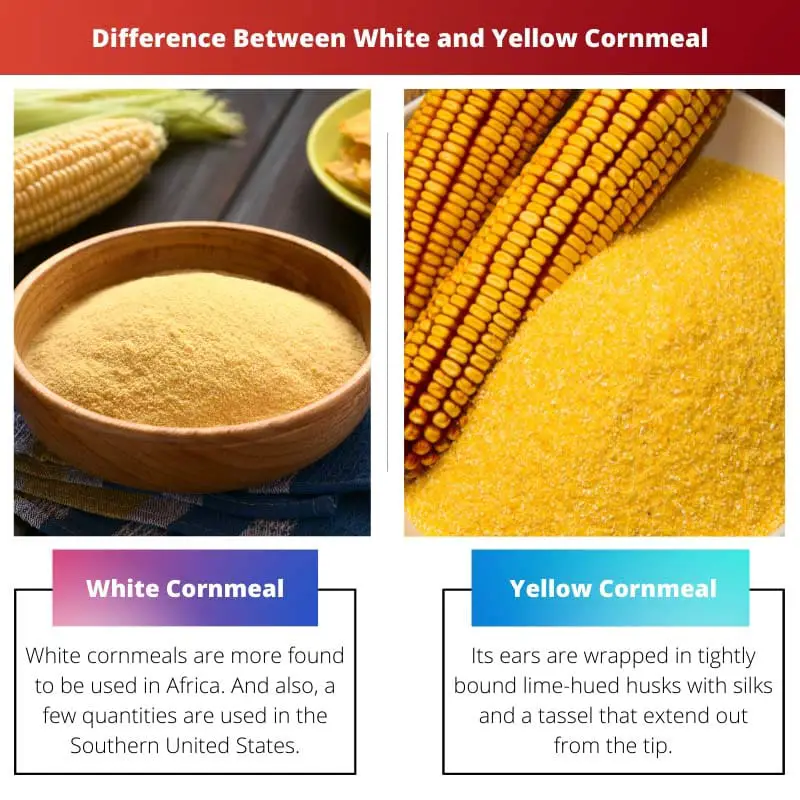 Difference Between White and Yellow Cornmeal