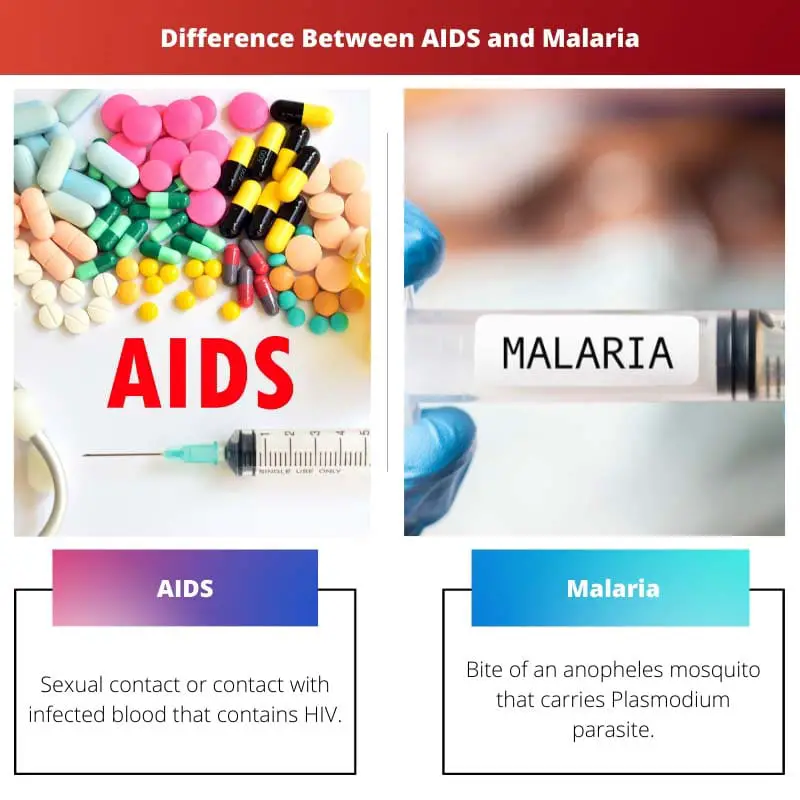 Difference Between AIDS and Malaria