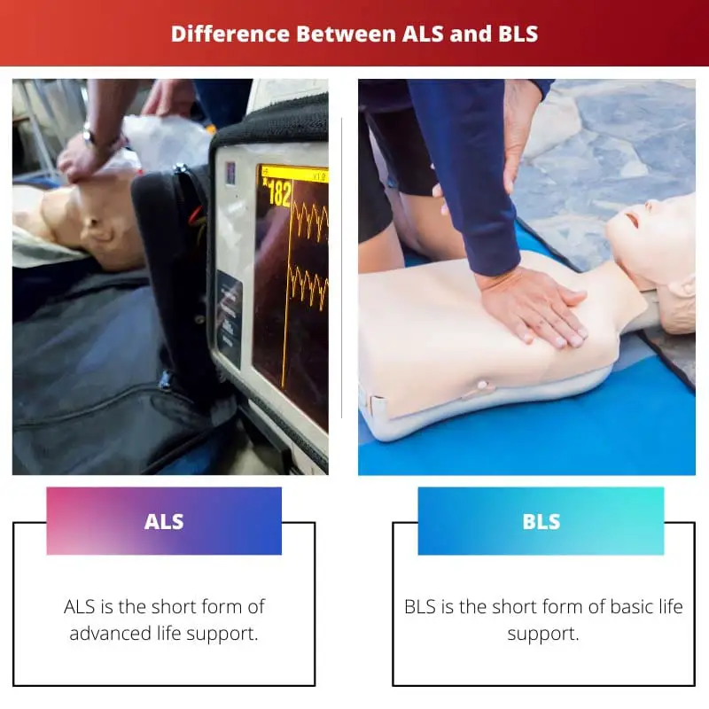 Difference Between ALS and BLS
