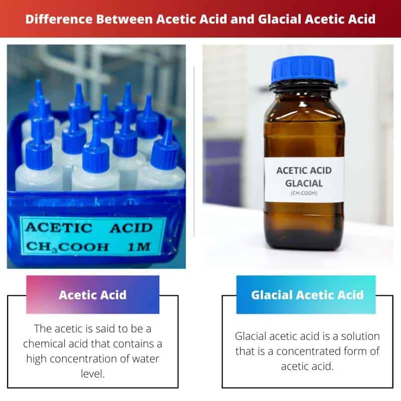 Acetic Vs Glacial Acetic Acid Difference And Comparison 1421