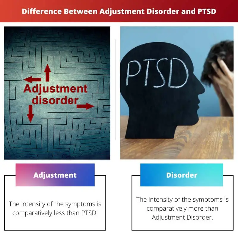 Difference Between Adjustment Disorder and PTSD