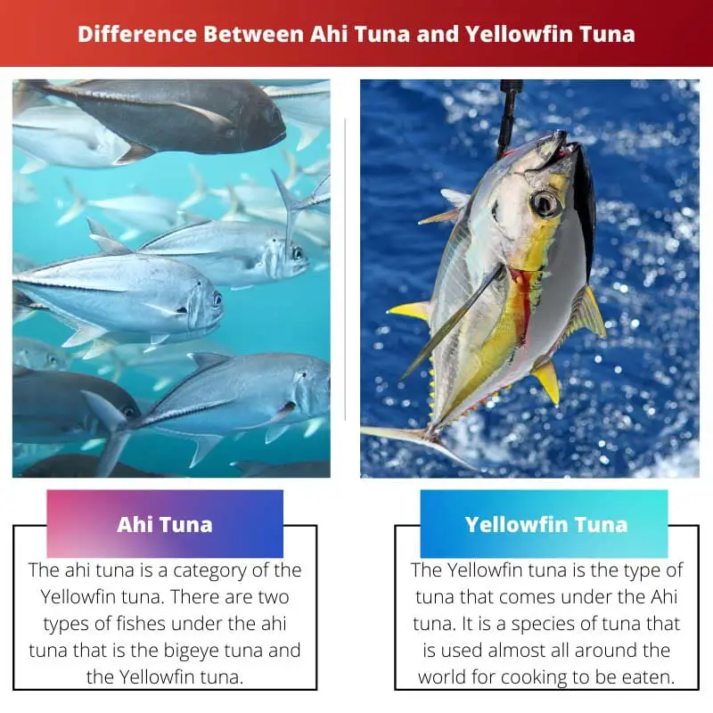 Difference Between Ahi Tuna and Yellowfin Tuna