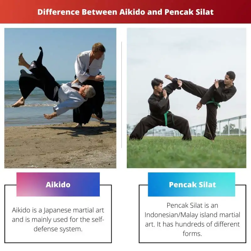 Difference Between Aikido and Pencak Silat