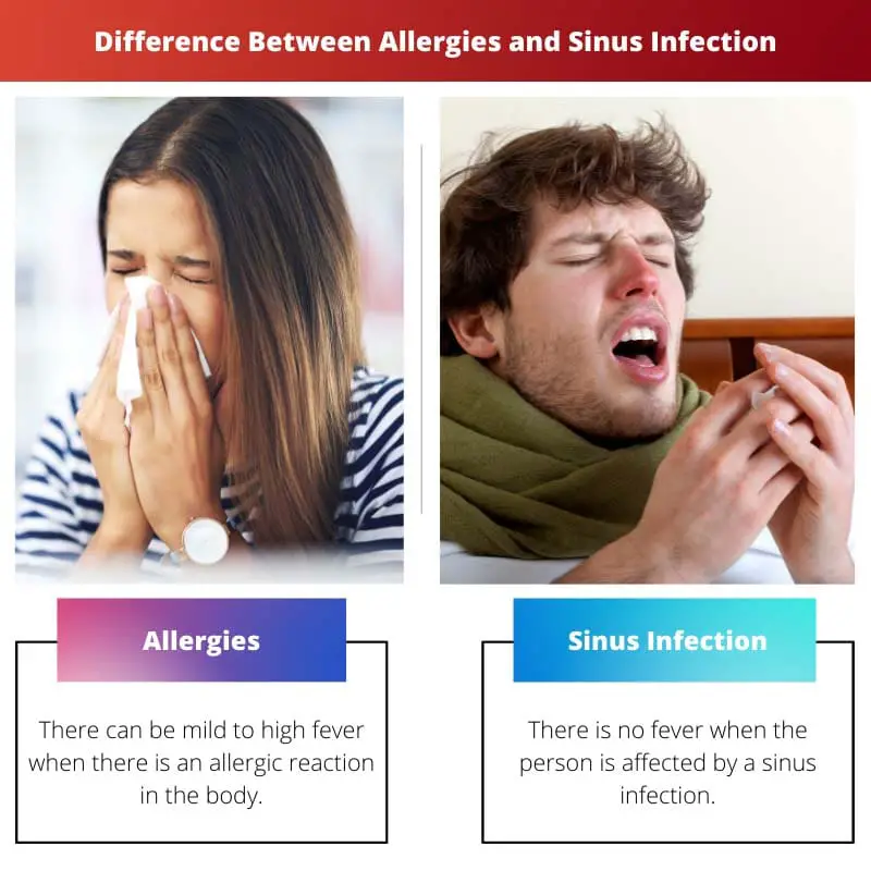 Difference Between Allergies and Sinus Infection