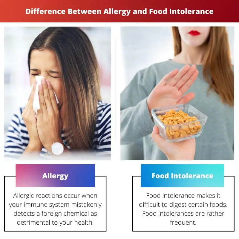 Difference Between Allergy and Food Intolerance