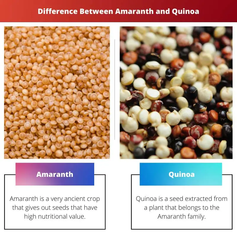 Difference Between Amaranth and Quinoa