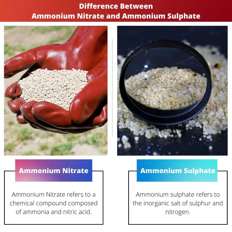 Difference Between Ammonium Nitrate and Ammonium Sulphate