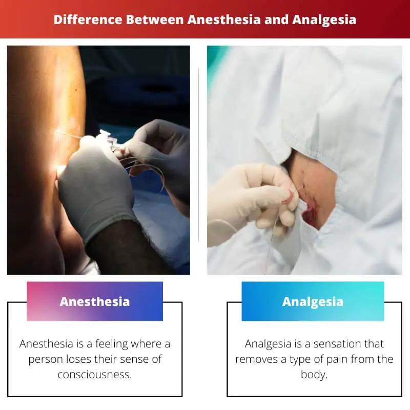 Difference Between Anesthesia and Analgesia
