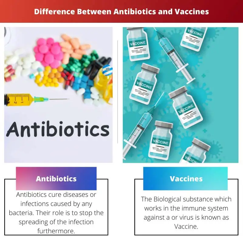 Difference Between Antibiotics and Vaccines