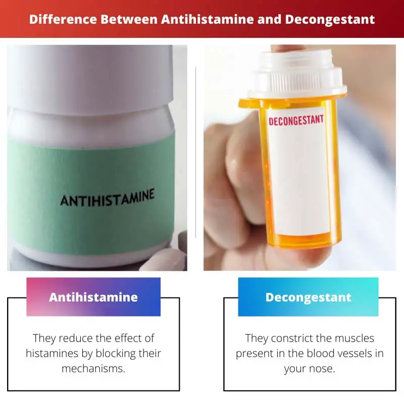 Difference Between Antihistamine and Decongestant