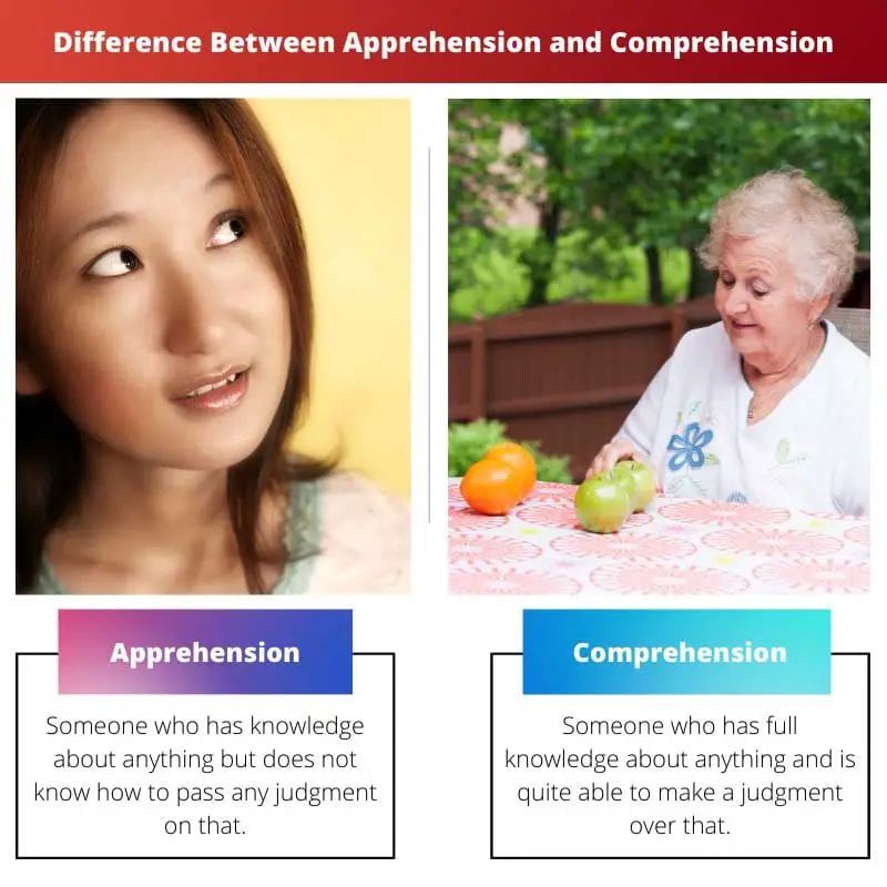 Difference Between Apprehension and Comprehension