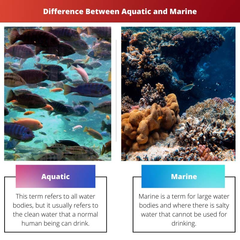 Difference Between Aquatic and Marine