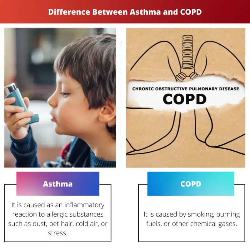 Difference Between Asthma and COPD