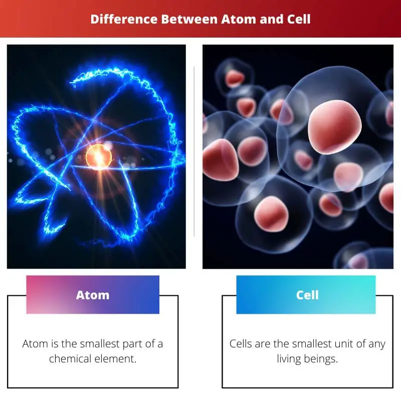 Difference Between Atom and Cell