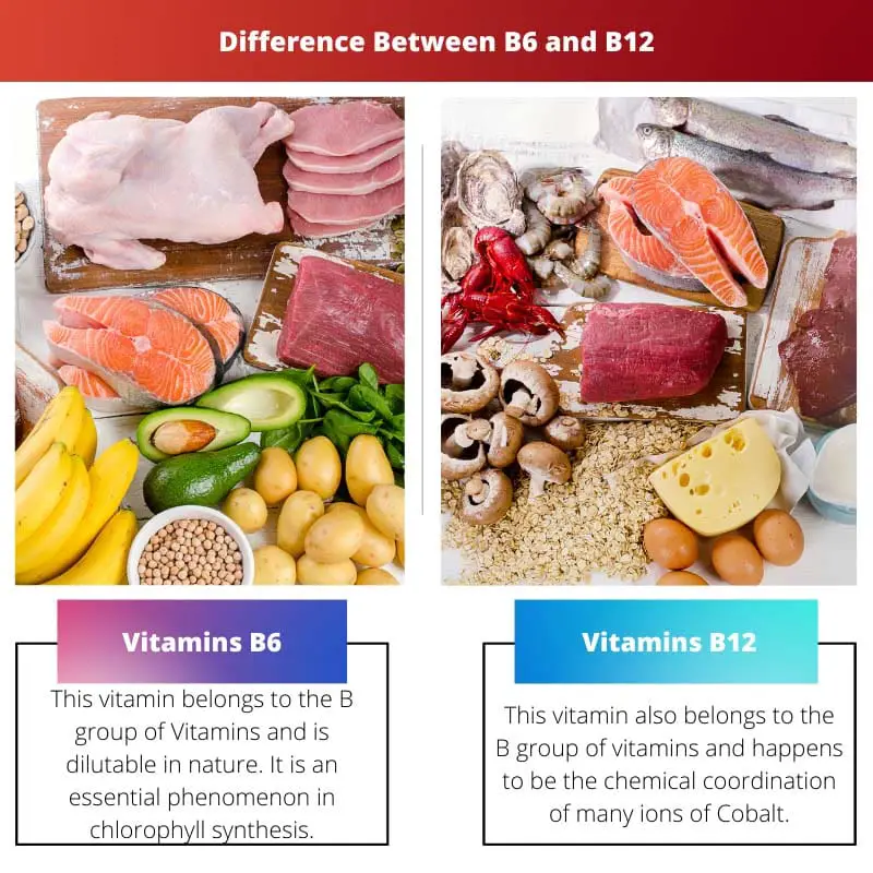 Difference Between B6 and B12