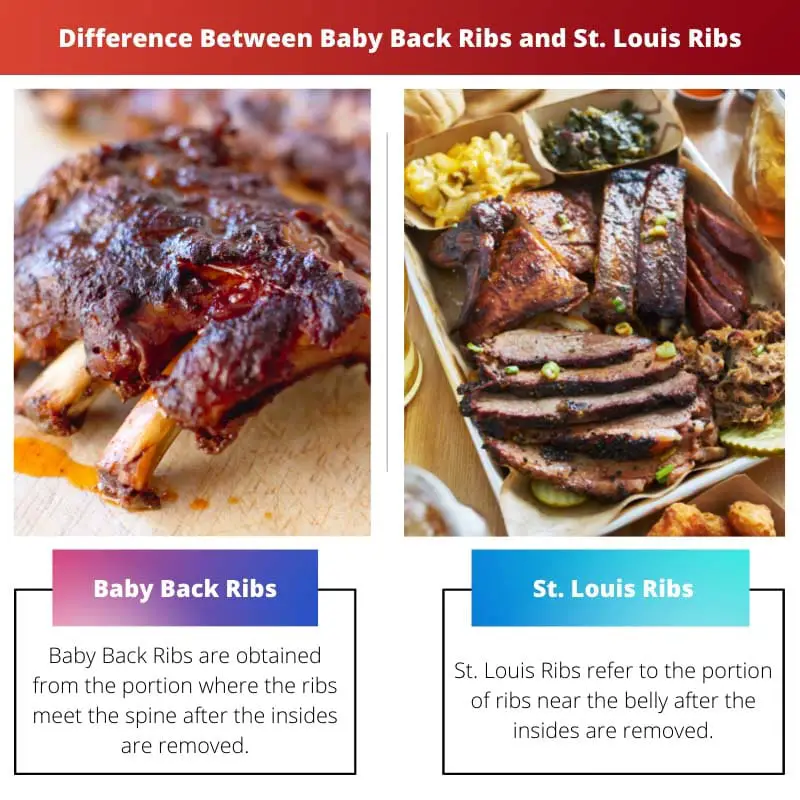 Difference Between Baby Back Ribs and St. Louis Ribs