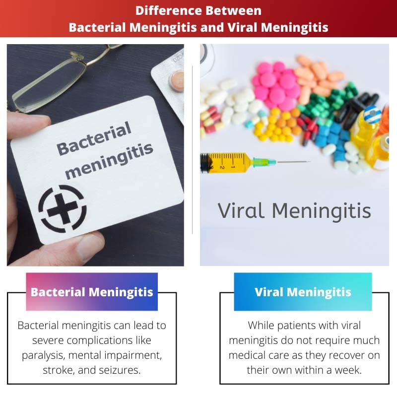 Difference Between Bacterial Meningitis and Viral Meningitis