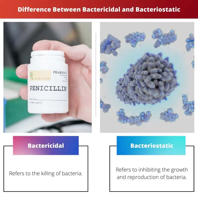 Difference Between Bactericidal and Bacteriostatic