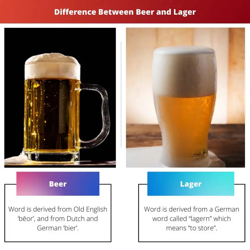 Difference Between Beer and Lager