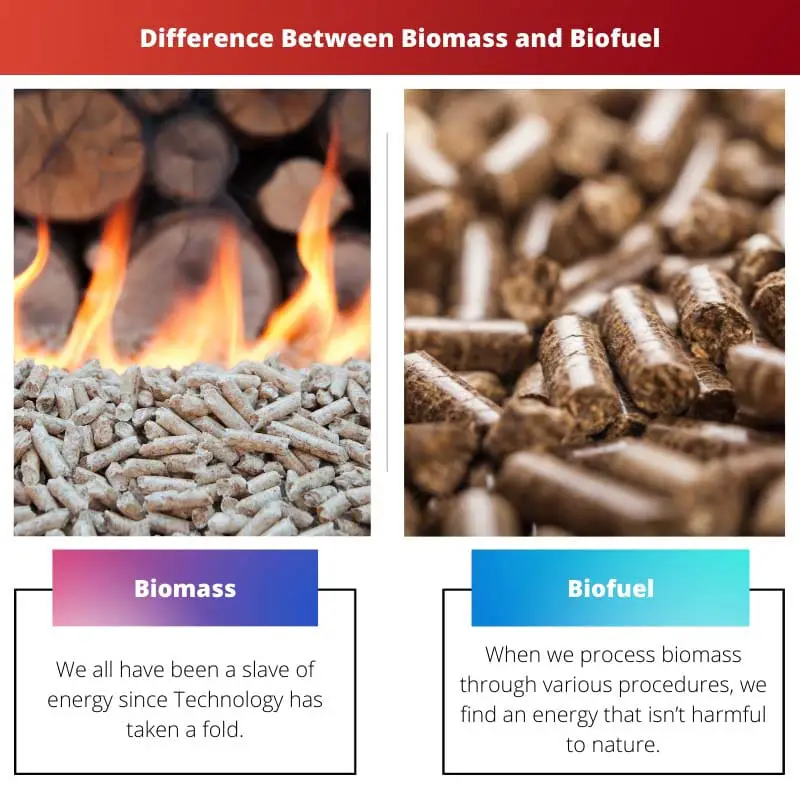 Difference Between Biomass and Biofuel