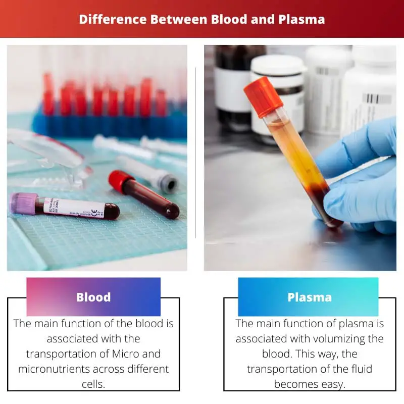 Difference Between Blood and Plasma