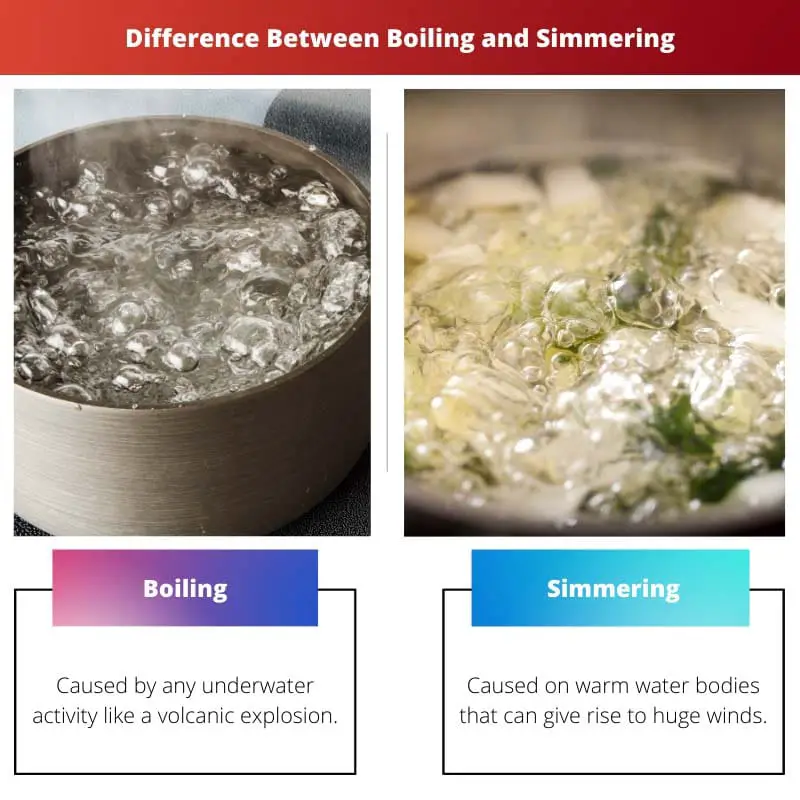 Difference Between Boiling and Simmering