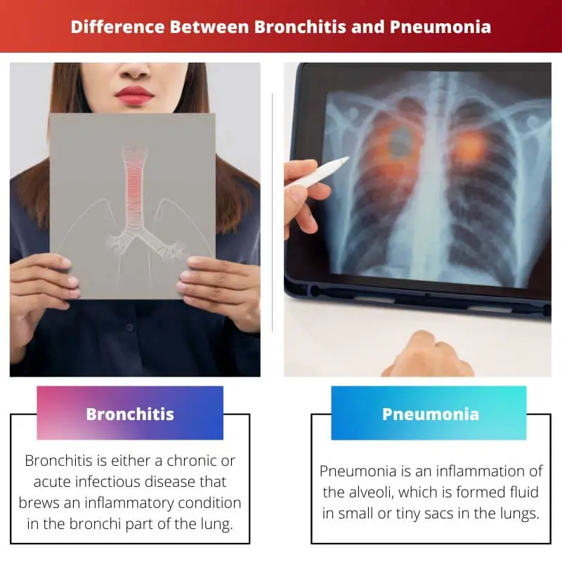 Difference Between Bronchitis and Pneumonia